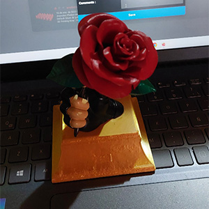 情人节  玫瑰花3D打印模型