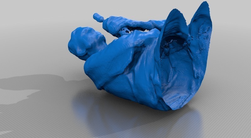 人物3d扫描打印模型3D打印模型
