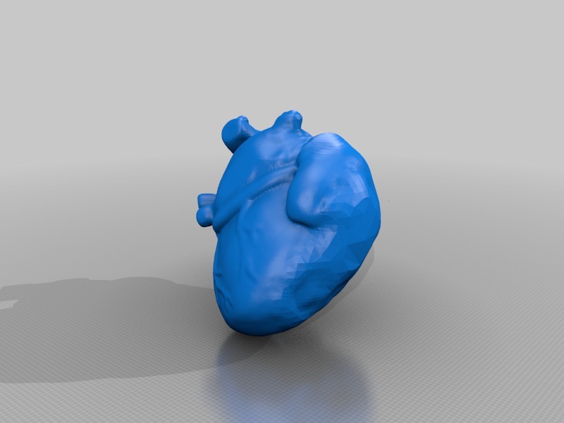 医用心脏模型3D打印模型