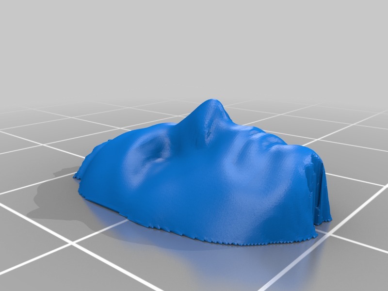 面具扫描3D打印模型
