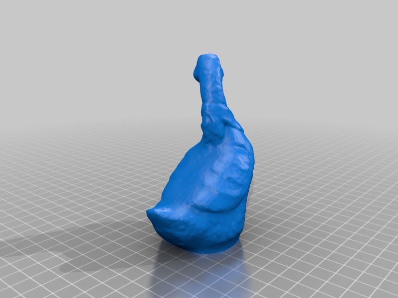 带头巾的鹅3D打印模型