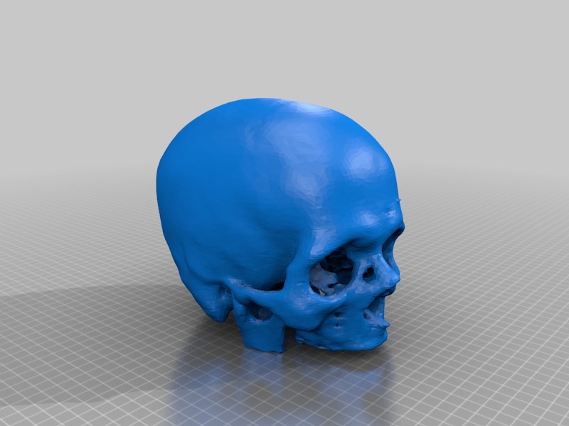 头骨医学模型3D打印模型