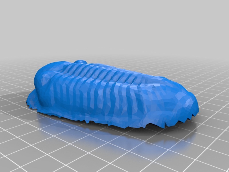 三叶虫3D打印模型
