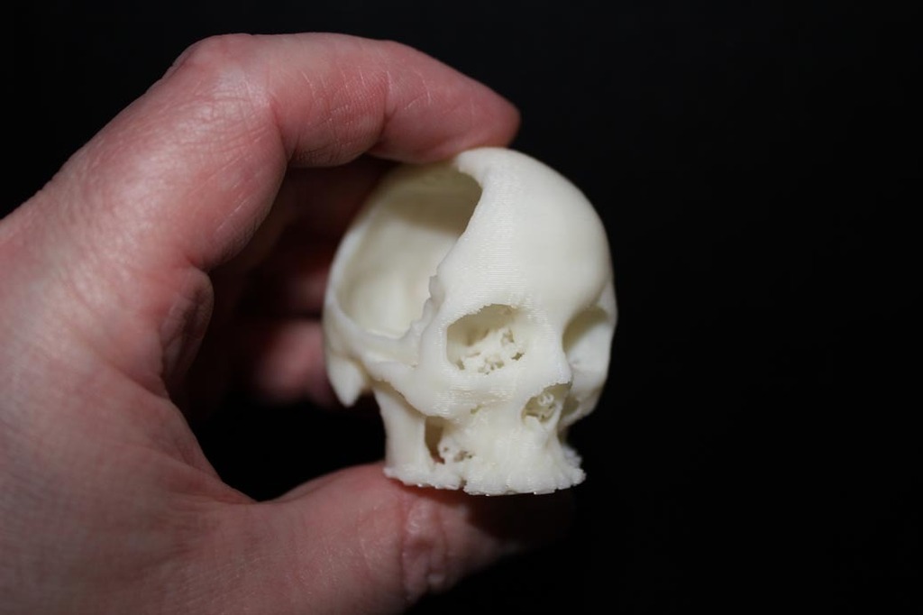 头骨模型3D打印模型