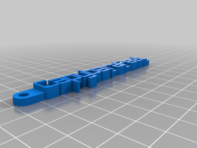 钥匙扣CapybaraFeet3D打印模型