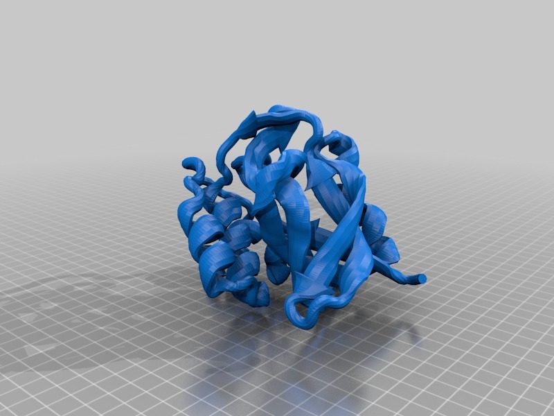 环转移酶3D打印模型