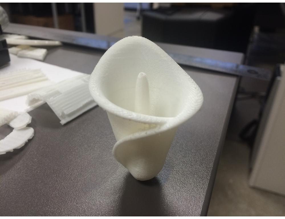 马蹄莲3D打印模型