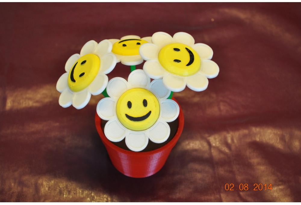 笑脸花带花盆3D打印模型