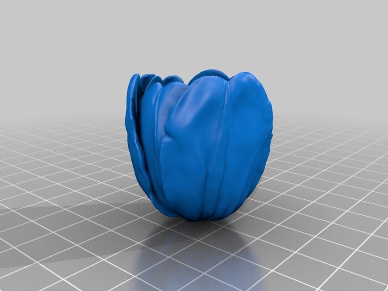 郁金香花3D打印模型