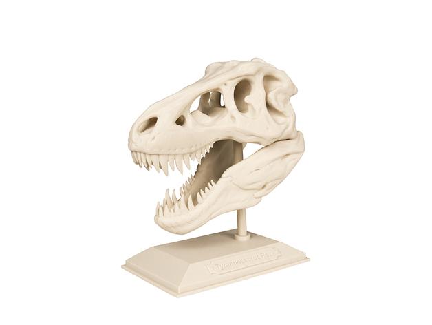 恐龙头骨3D打印模型