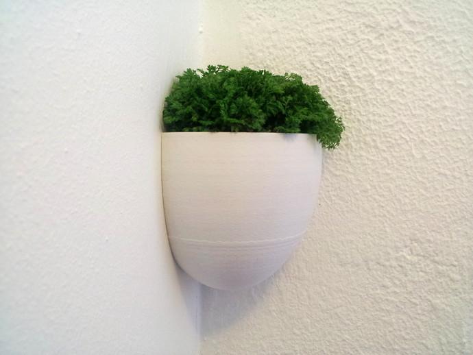 小盆植物3D打印模型