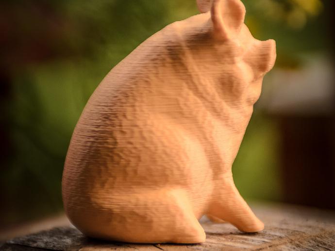 花园里的猪3D打印模型
