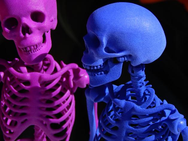 骨头先生-铰接式骨架3D打印模型