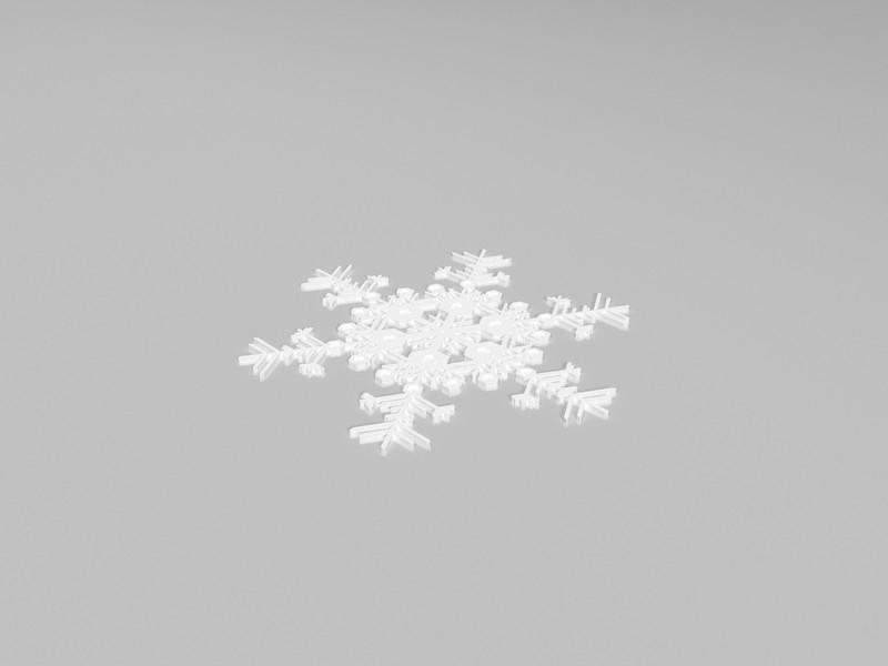 圣诞节的雪花3D打印模型