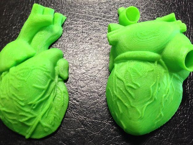 半个心脏模型3D打印模型