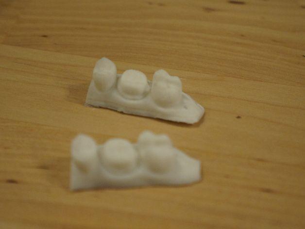人类齿颚模型3D打印模型