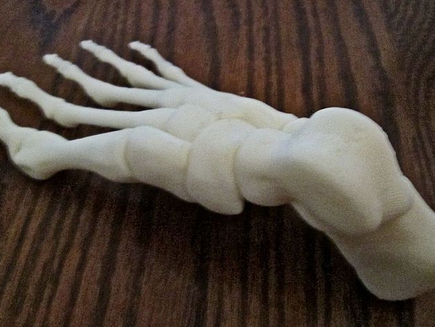 人体骨骼模型3D打印模型