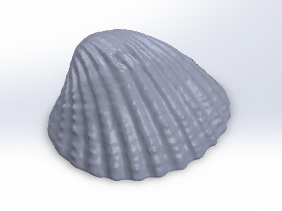 贝壳图集3D打印模型