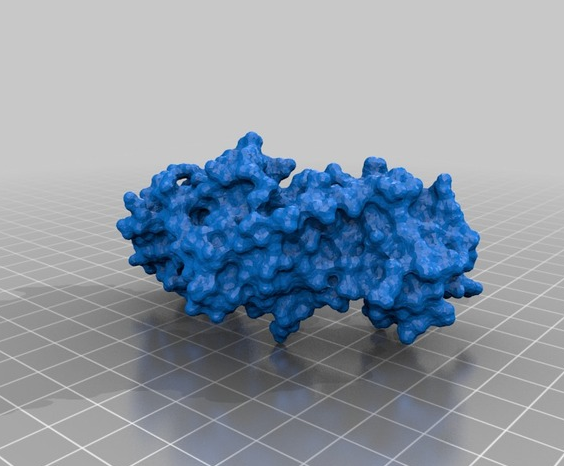 细菌蛋白构造3D打印模型