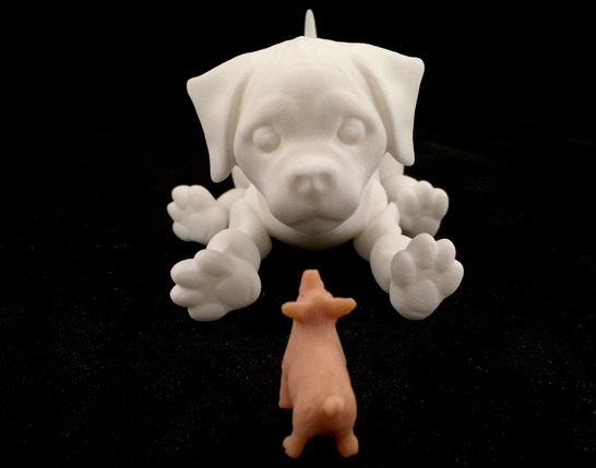 斑点狗3D打印模型
