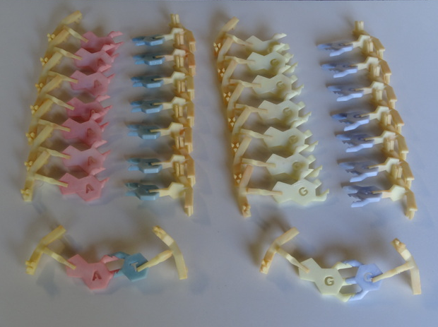 DNA结构图3D打印模型