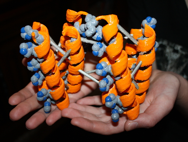 蛋白质结构3D打印模型
