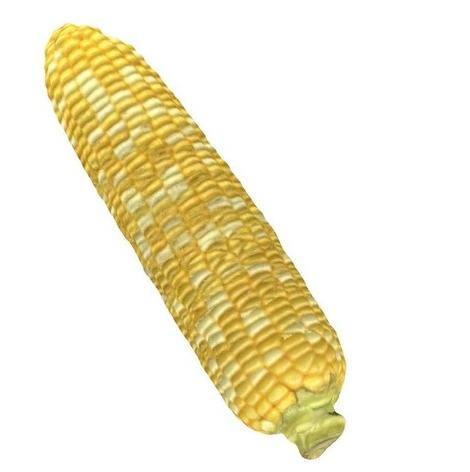 玉米3D打印模型