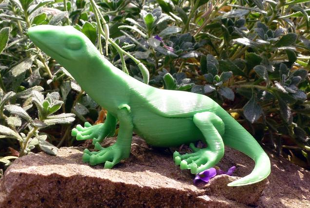 小蜥蜴3D打印模型