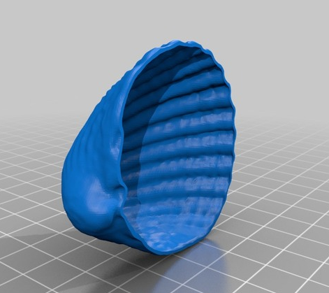 贝壳图集设计3D打印模型