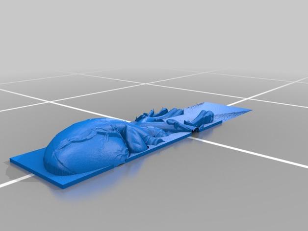 医学用心脏模型3D打印模型
