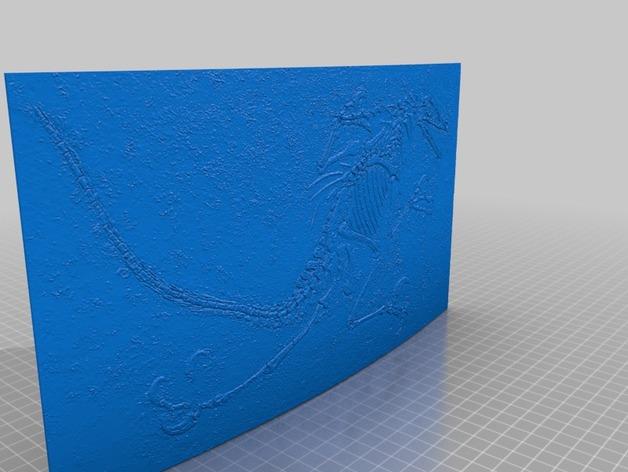 迅猛龙化石3D墙画3D打印模型