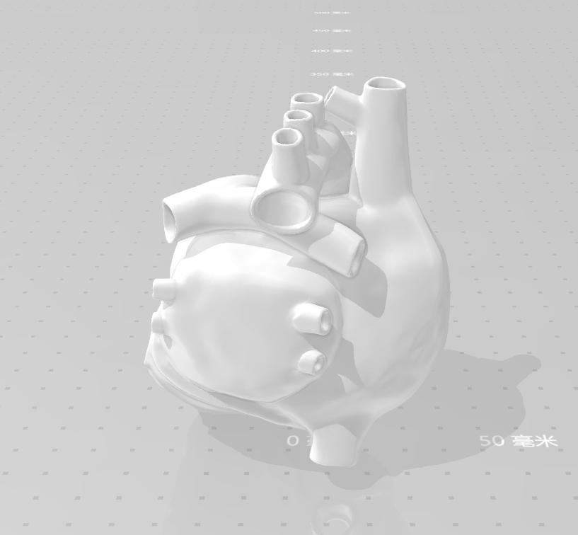 人类的心脏3D打印模型
