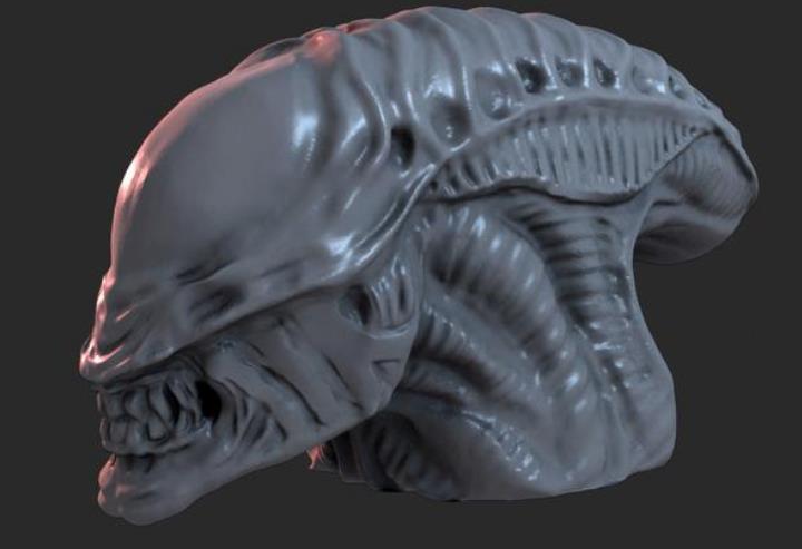 异形头部3D打印模型