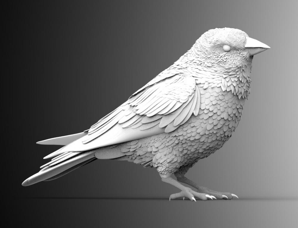 金翅雀3D打印模型