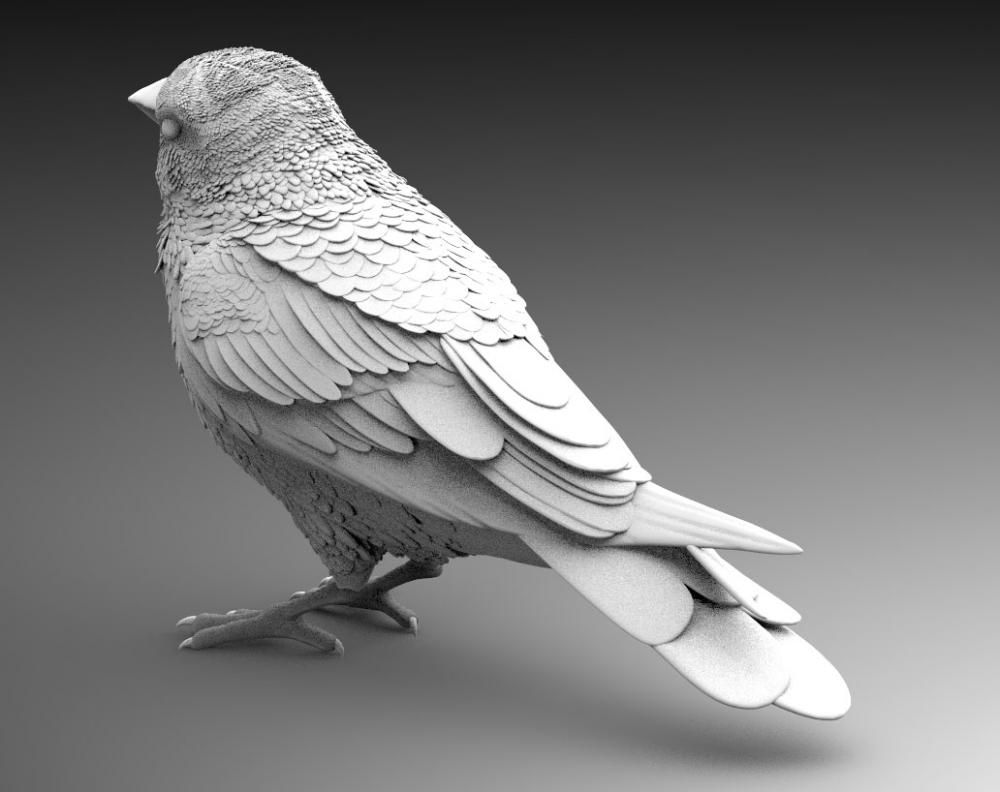 金翅雀3D打印模型