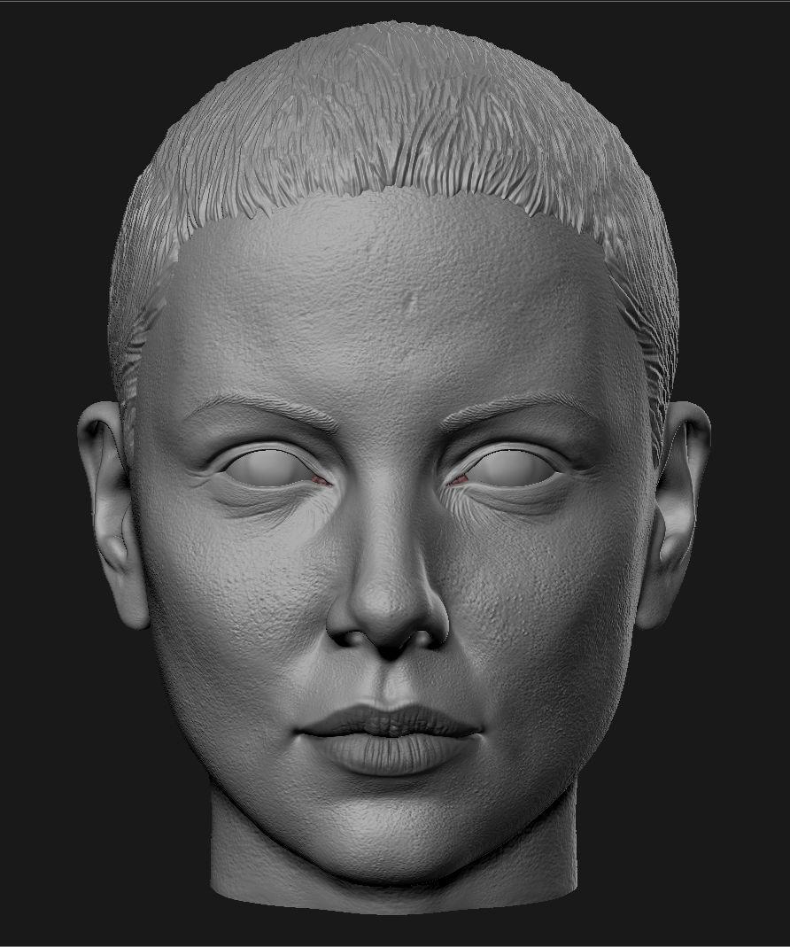 查理兹·塞隆头雕3D打印模型