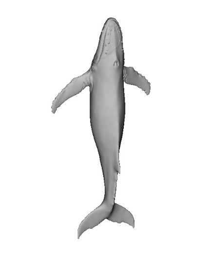 白鯨3D打印模型