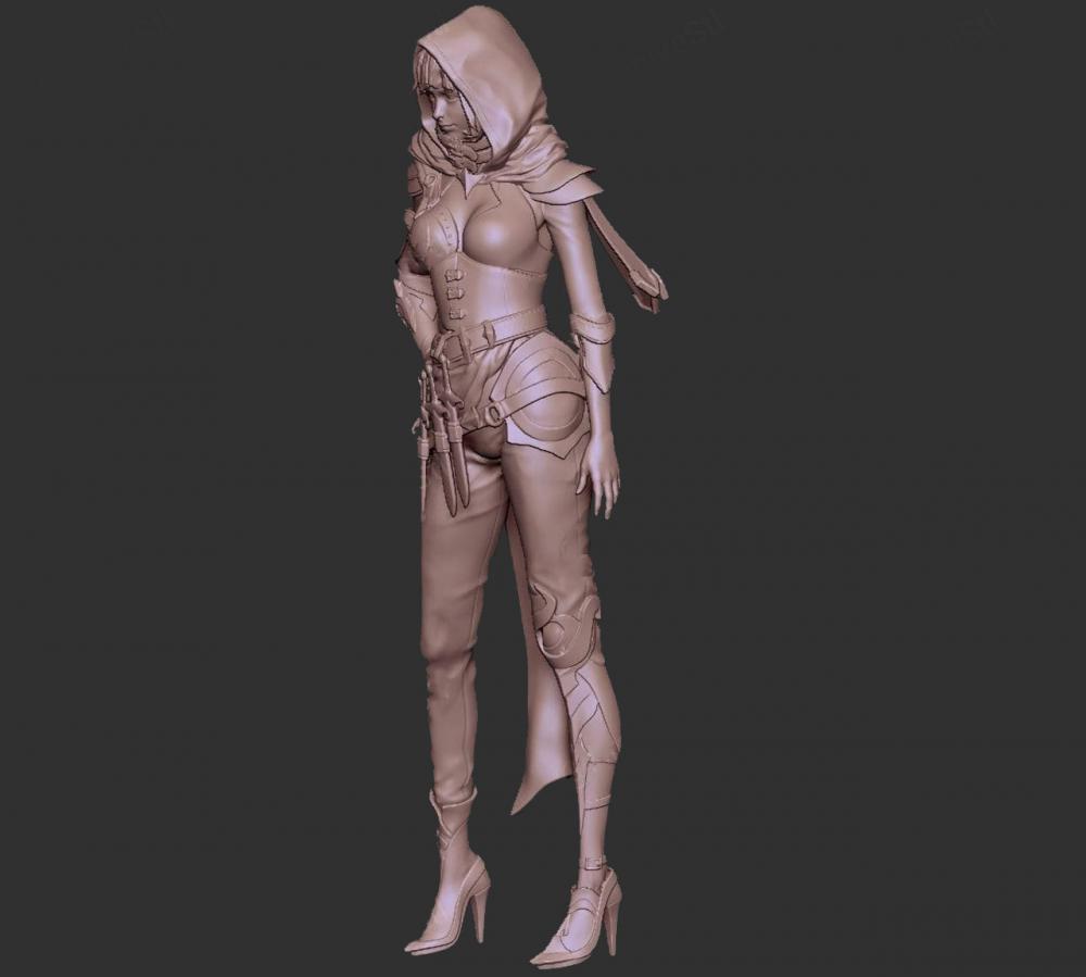 刺客女孩3D打印模型