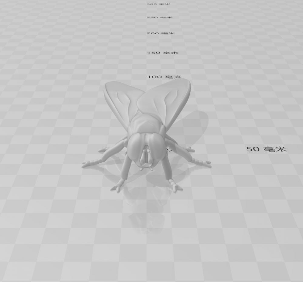 苍蝇3D打印模型
