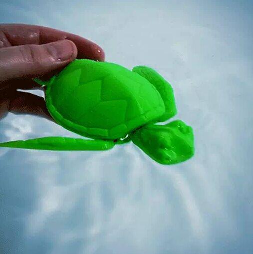 可活动的小海龟3D打印模型