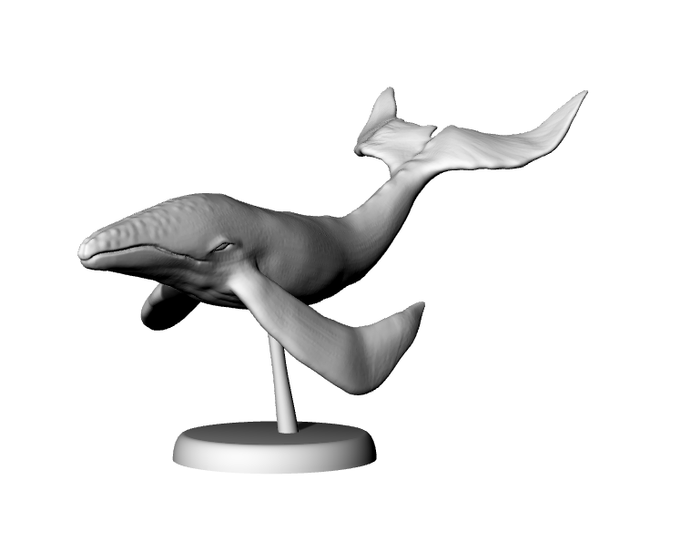 天鲸-桌面微缩3D打印模型