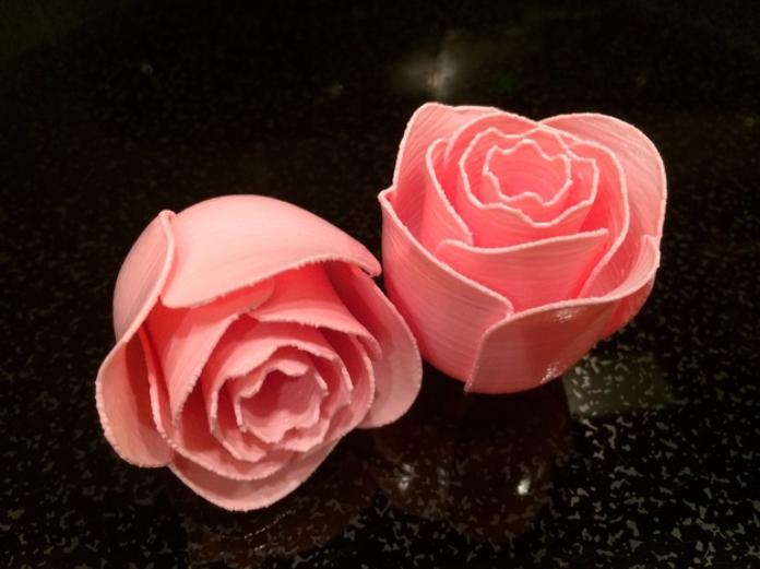 盛开的花朵3D打印模型