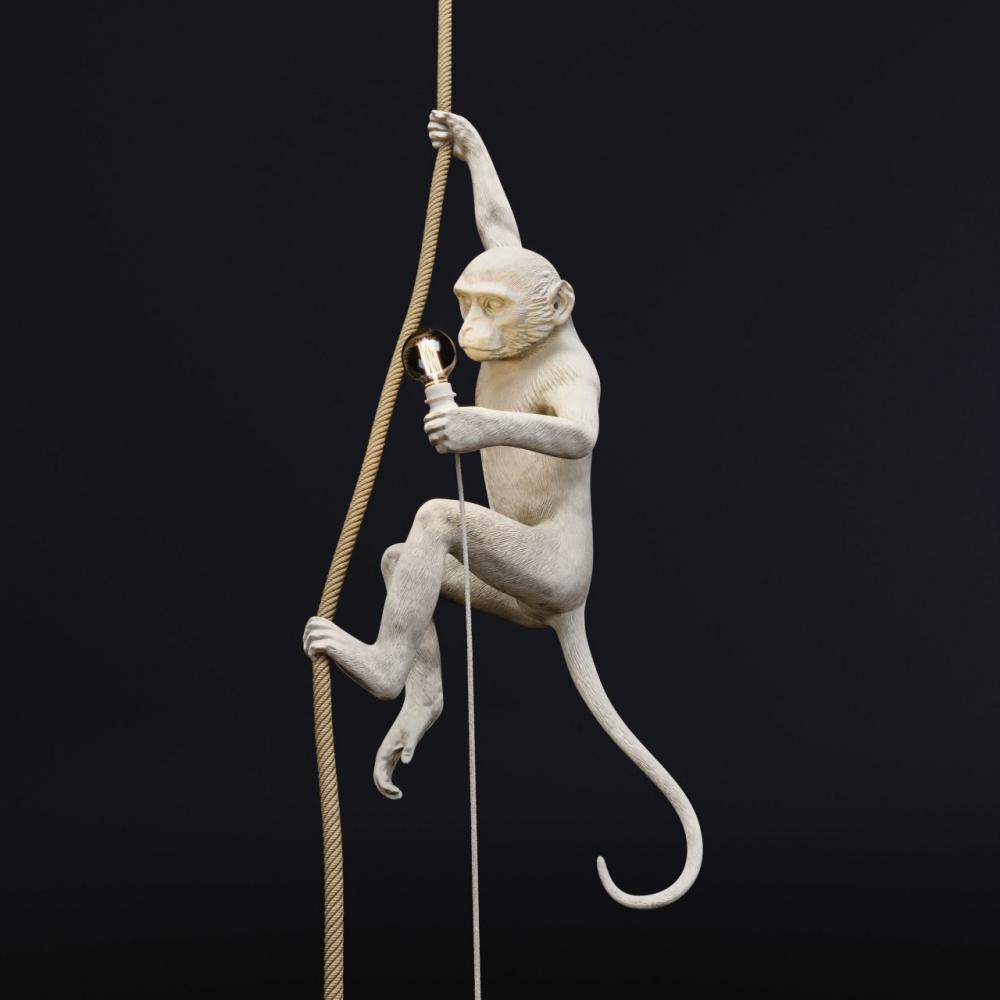 猴子3D打印模型