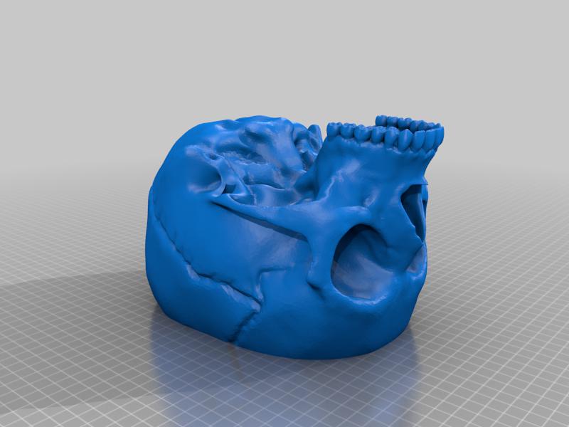 骷髅头爆米花小零食杯具3D打印模型