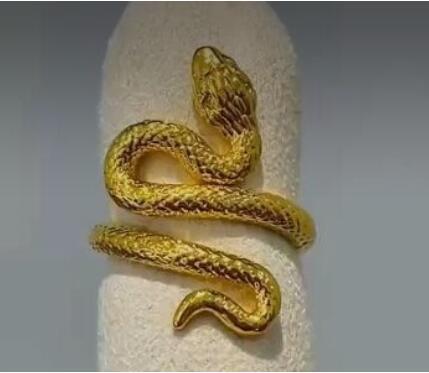 灵蛇戒指3D打印模型