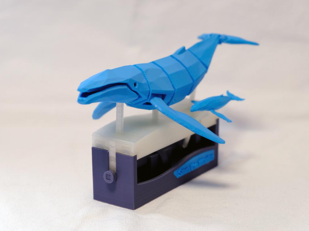 游泳鲸鱼3D打印模型