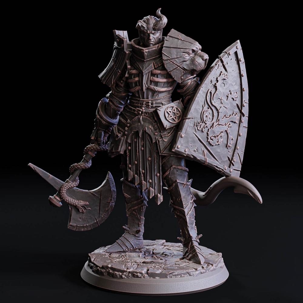 圣骑士 帕拉丁3D打印模型
