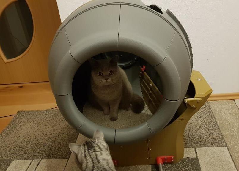 全自动猫砂盆-猫厕所3D打印模型