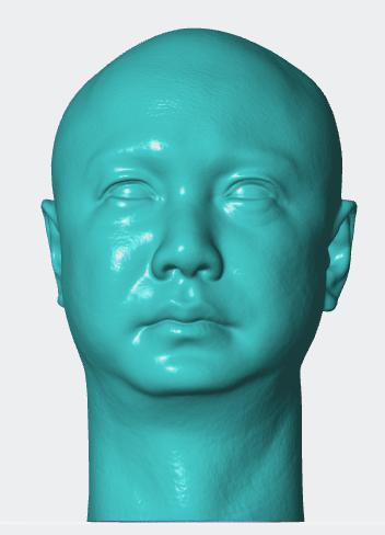 徐峥头雕3D打印模型