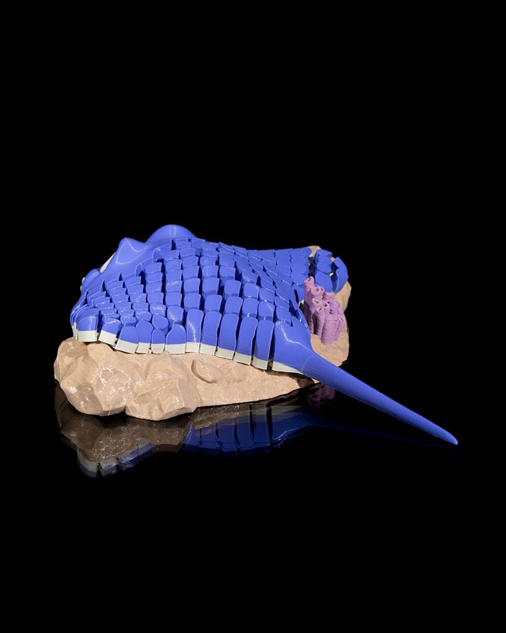 魔鬼鱼3D打印模型